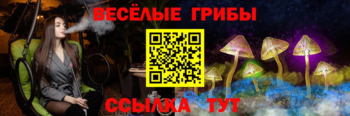 Северобайкальск  Галлюциногенные грибы Cubensis  Вход с VPN 