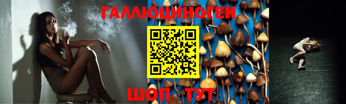 Галлюциногенные грибы прущие грибы Северобайкальск